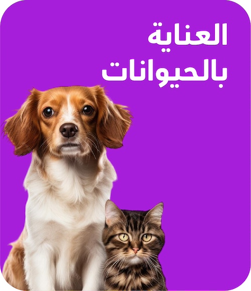 أكل الحيوانات و الدواجن