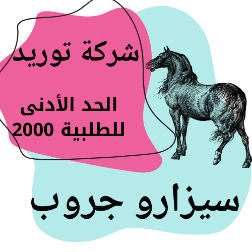 سيزارو جروب