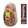 _ab__is.text.p
