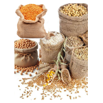 خلاطات طعام