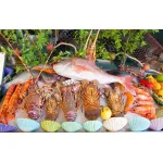 اسماك مجمدة