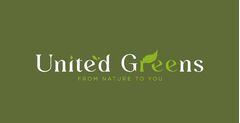 يونايتد جرينز