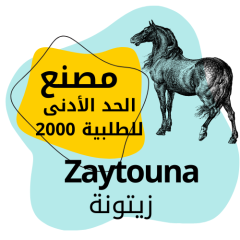 Zaytouna