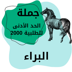 البراء للتجارة