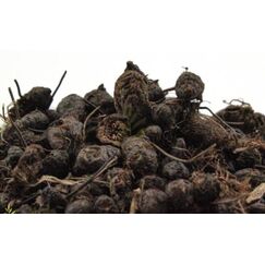 زيت السعد (1 لتر) – تهدئة البشرة وتقليل نمو الشعر | سوق بلس للجملة ومن المصنع مباشرة