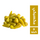 _ab__is.text.p