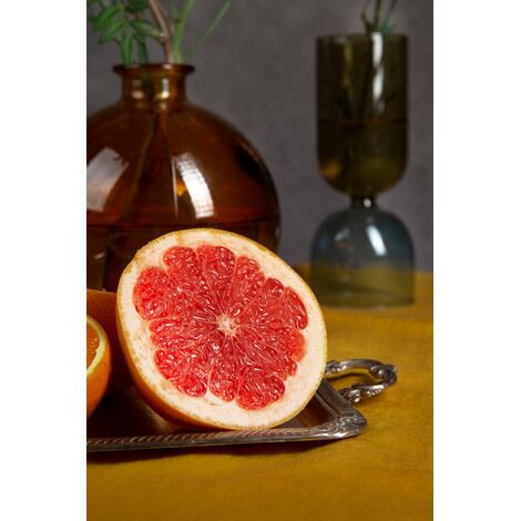 زيت الجريب فروت (1 لتر) – منعش ومقوي للمناعة وعلاج البشرة الدهنية | سوق بلس للجملة ومن المصنع مباشرة