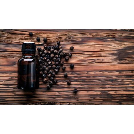 زيت الفلفل الأسود (1 لتر) – تحسين الهضم ومنع اضطرابات الجهاز الهضمي | سوق بلس للجملة ومن المصنع مباشرة