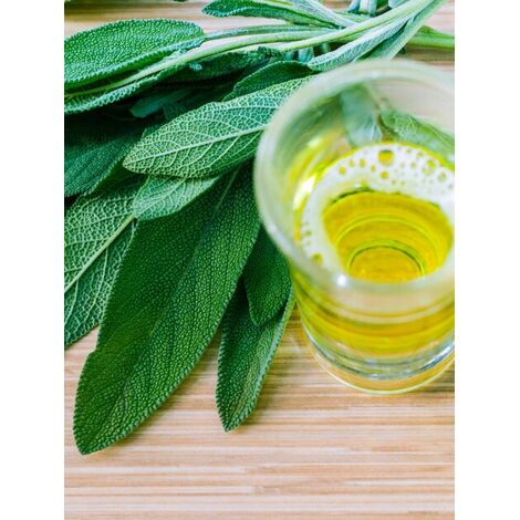 زيت الميرمية (1 لتر) – بالجملة من سوق بلس ومن المصنع مباشرة