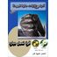 _ab__is.text.p